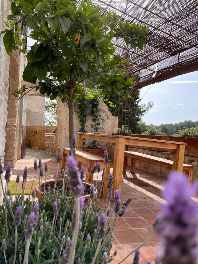 Casa Rural Con Jardin,A 8Km Playa Y En La Naturaleza Taronja&Canyella Ardenya Ngoại thất bức ảnh