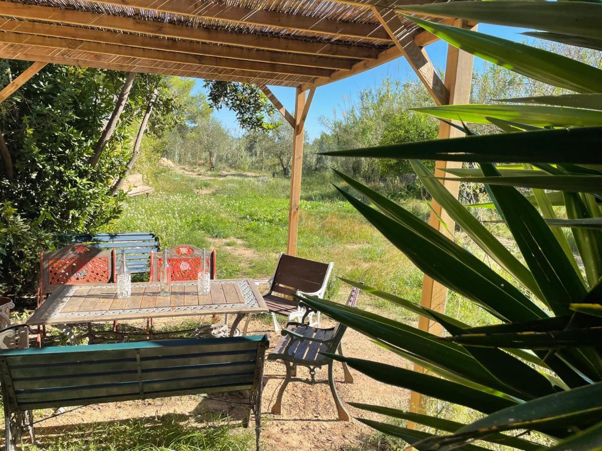 Casa Rural Con Jardin,A 8Km Playa Y En La Naturaleza Taronja&Canyella Ardenya Ngoại thất bức ảnh